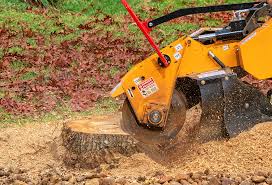 Best Stump Grinding and Removal  in Exeter, CA