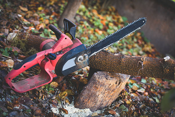 Best Lawn Dethatching  in Exeter, CA